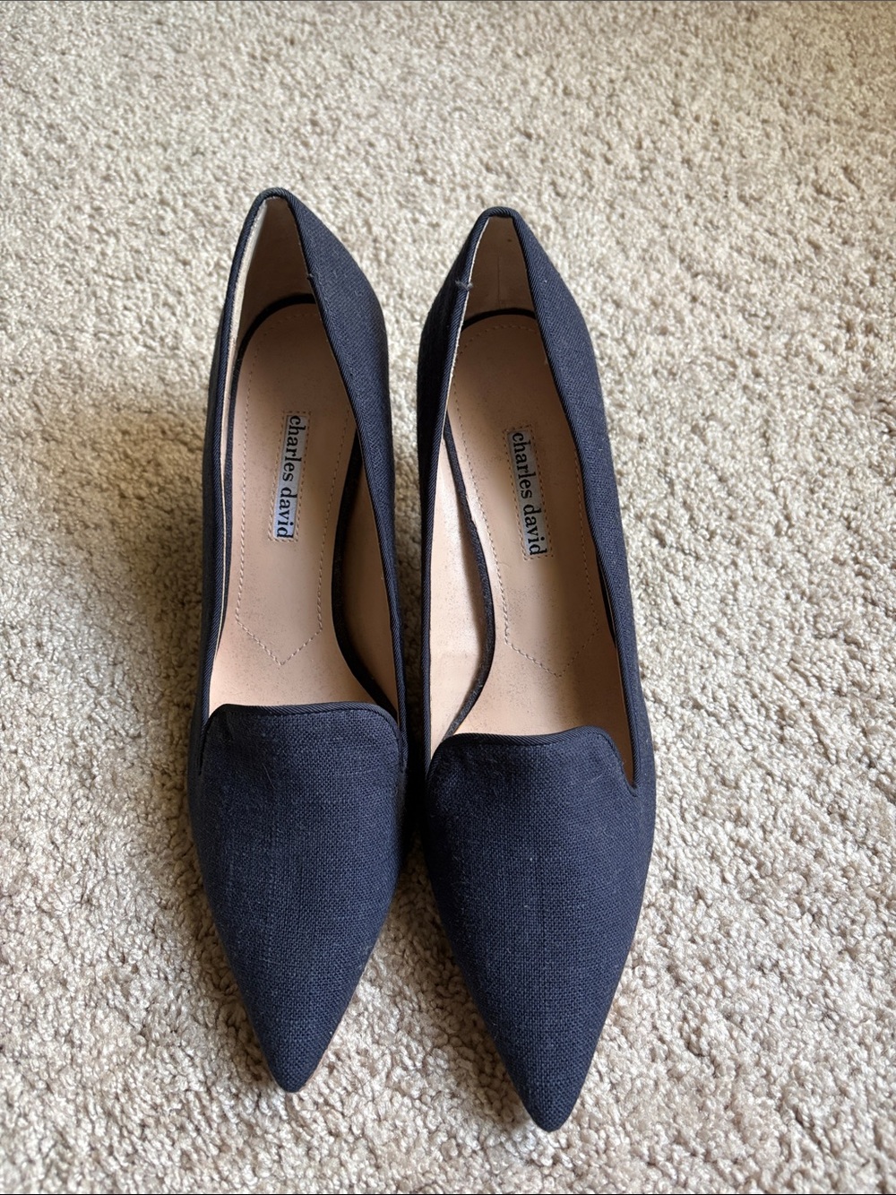 Charles David Navy Pointed Toe Heels